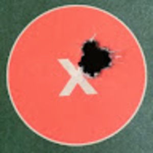 Meet your Posher, Beau